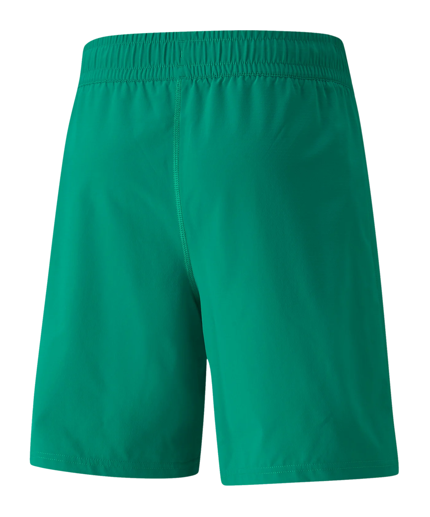 PUMA teamFINAL Short Grün F05