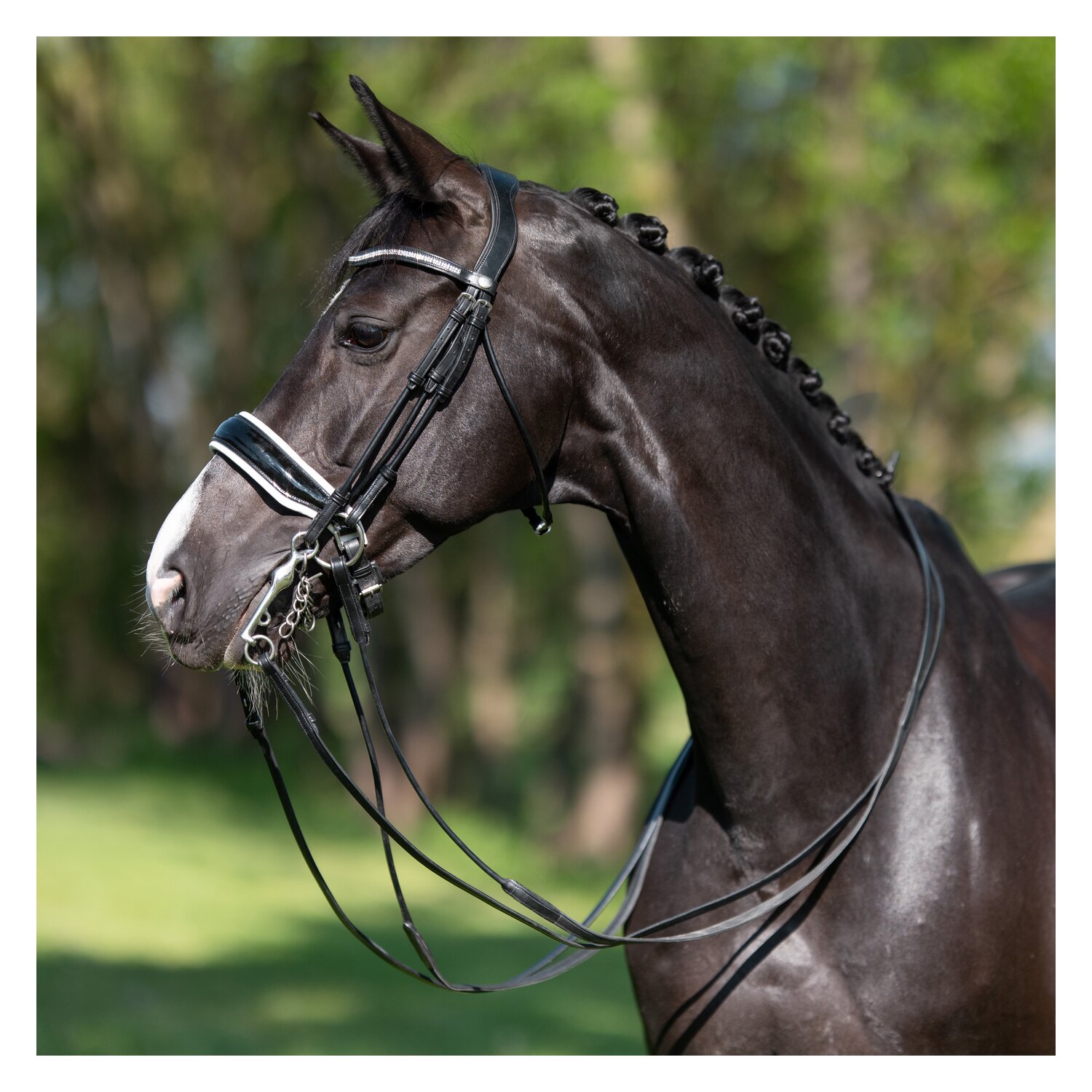 PRESTIGE Dressurkandare  - schwarz - Warmblut