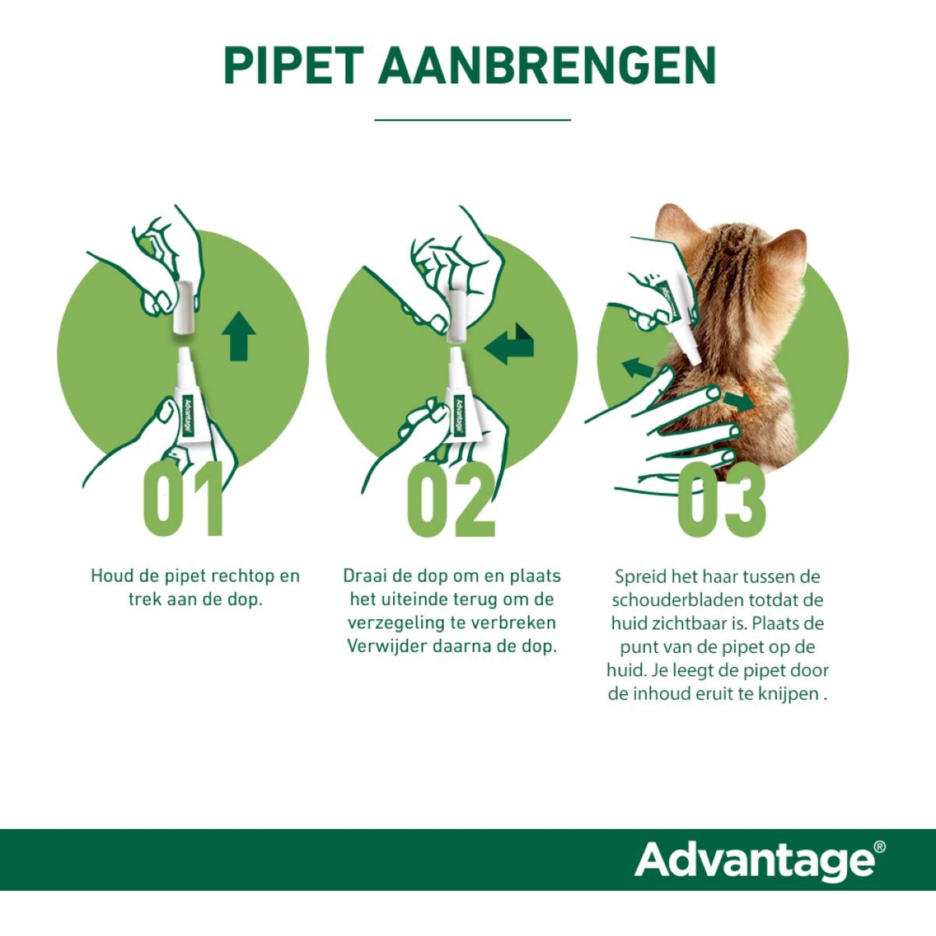 Advantage 40 Spot-On Kat <4kg