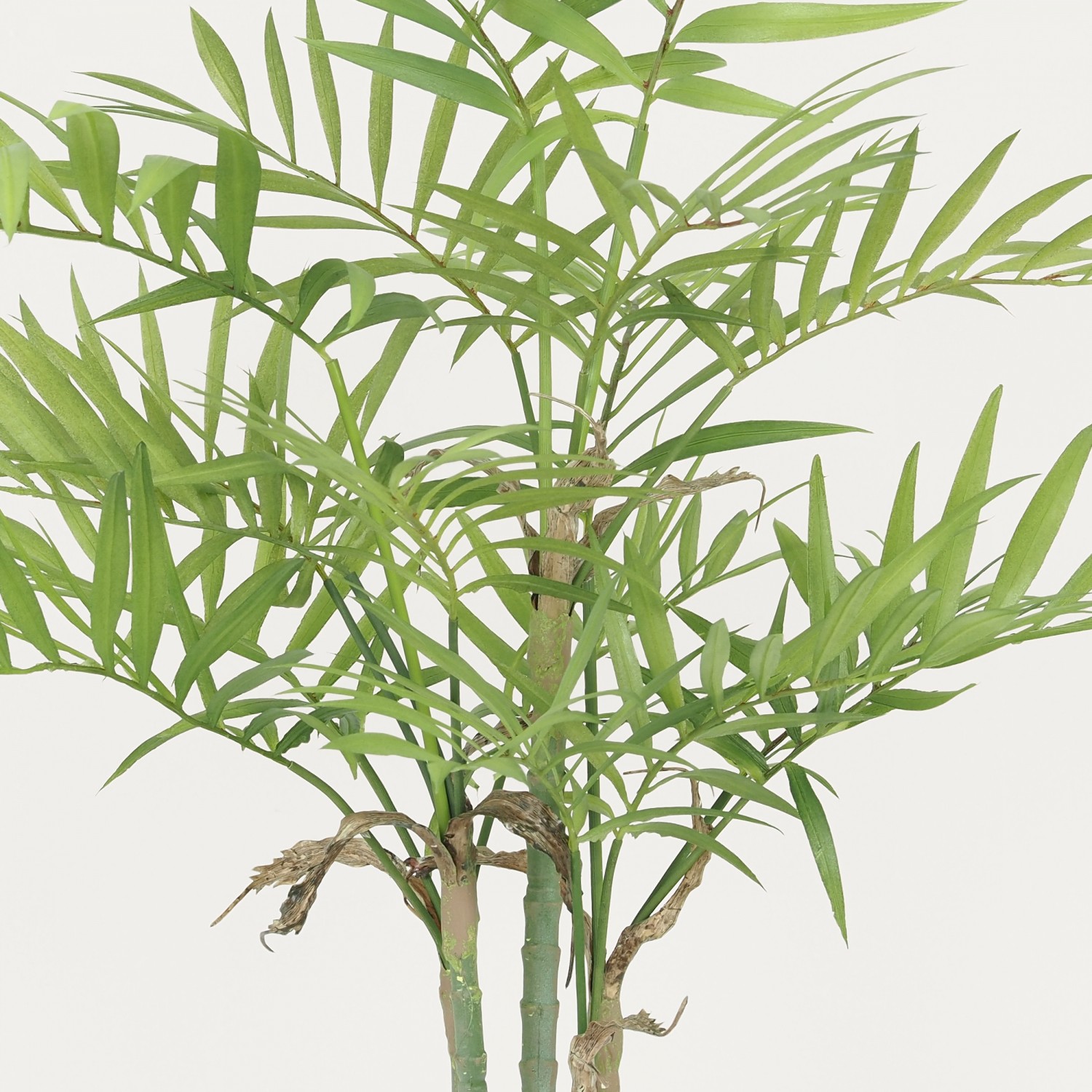 Palmier artificiel areca 80cm