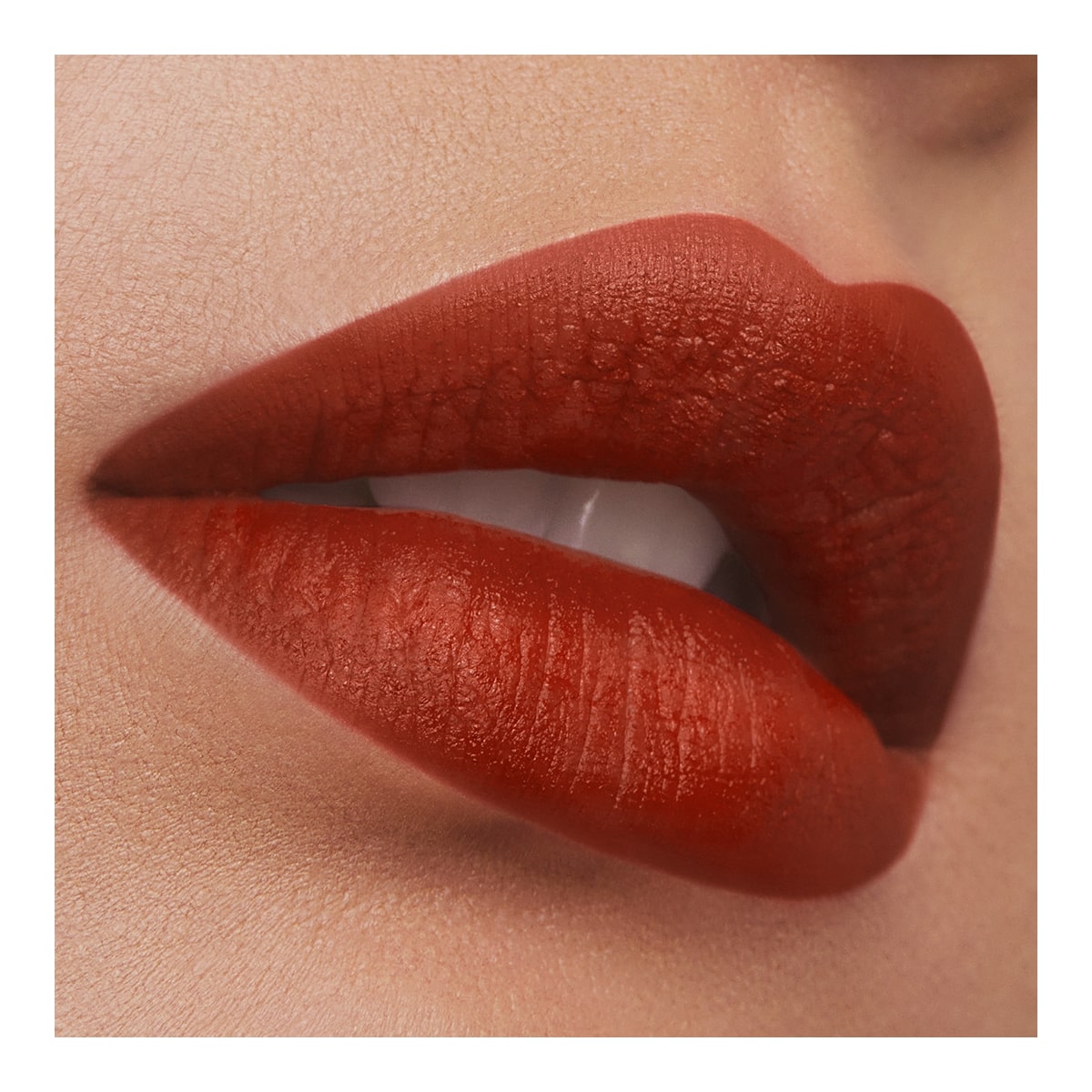 ESTEE LAUDER Pure Color Rouge à Lèvres Mat