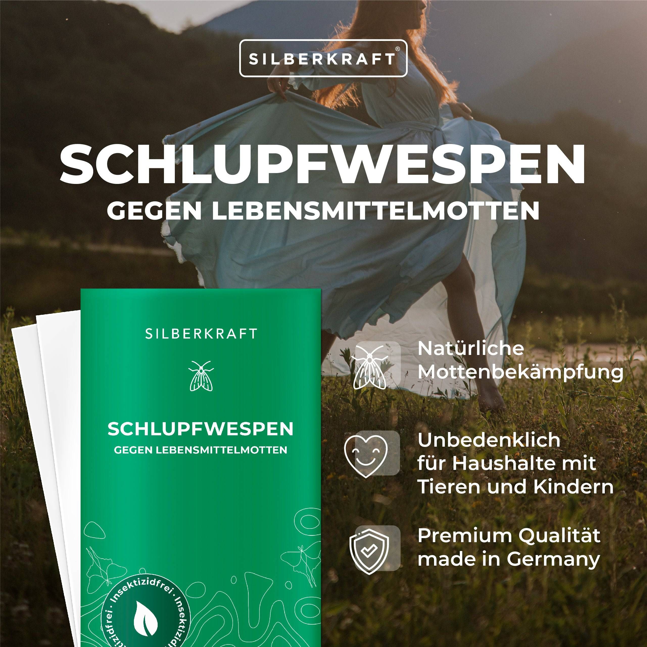 SILBERKRAFT Schlupfwespen