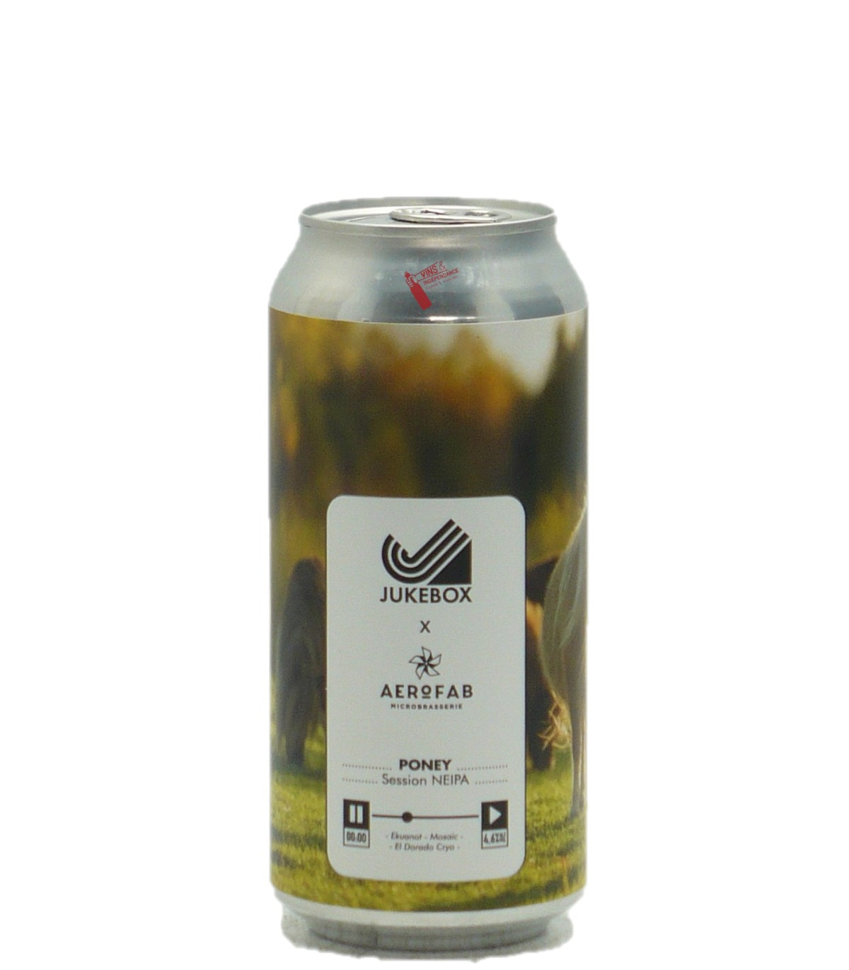 Aerofab Hoppy Pale Ale