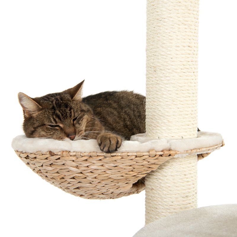 Arbre à chat Laguna