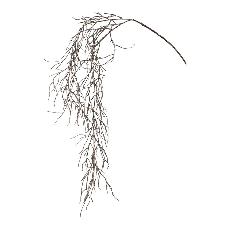 champagne, L 104 cm