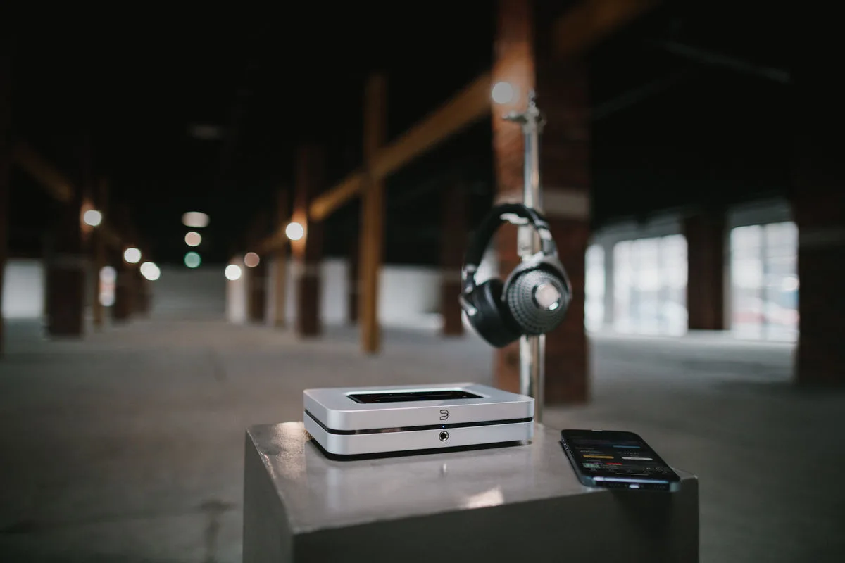 Bluesound Node X Lecteurs réseau audio