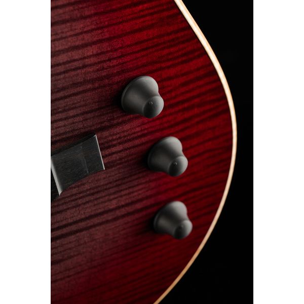 Taylor T5z Pro GV