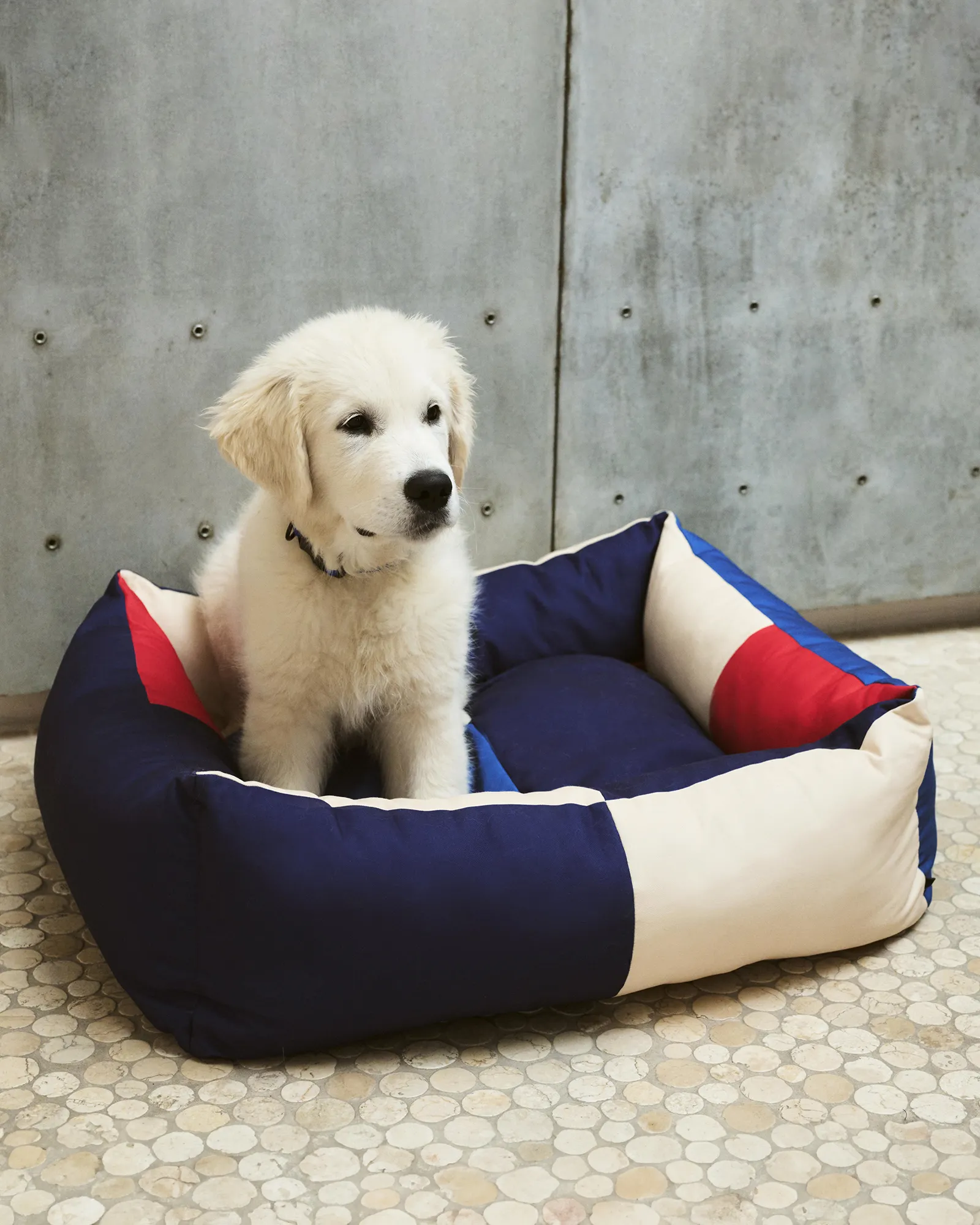 HAY HAY Dogs Bed