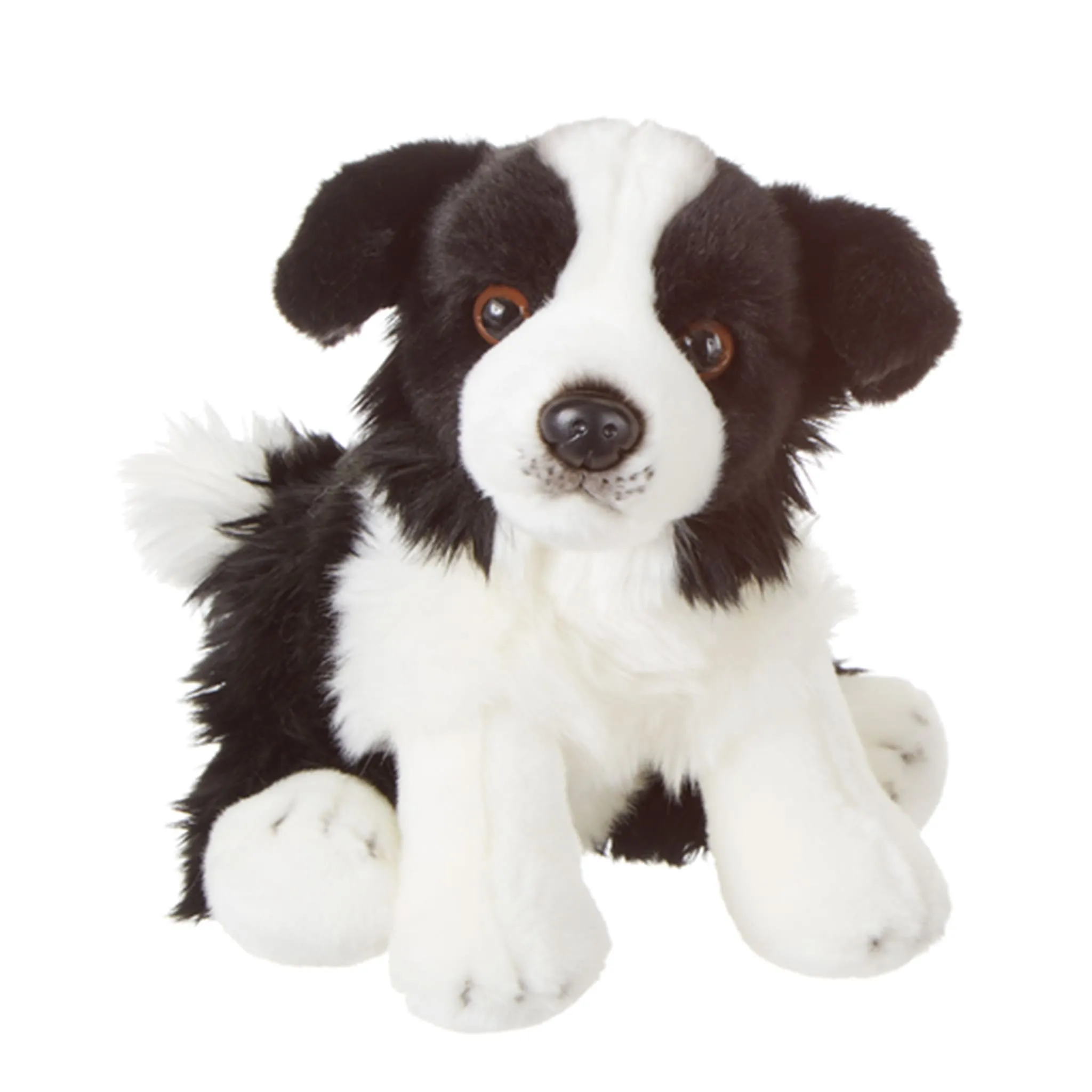 Ganz Chien Border Collie