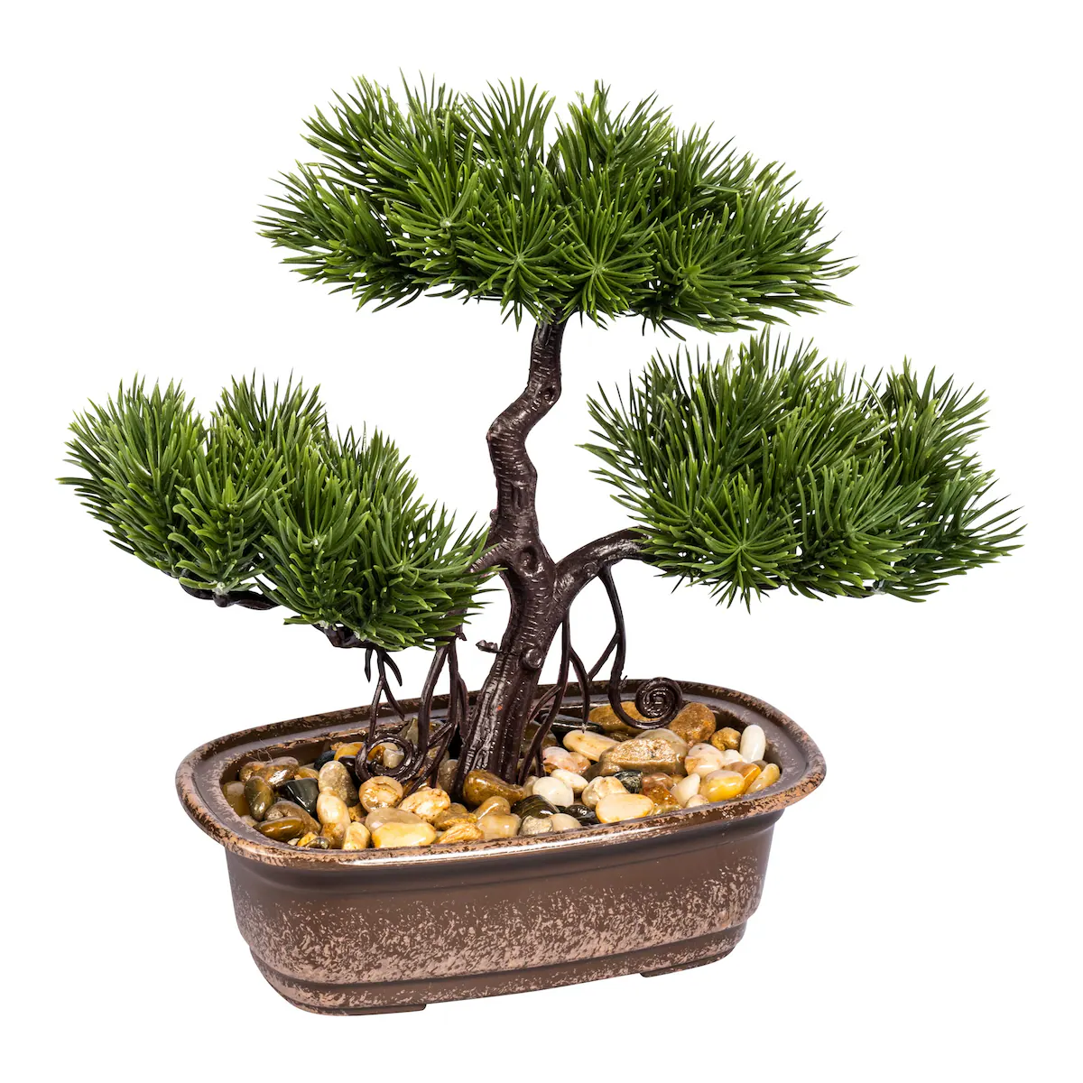 viva domo - Bonsai „Natur“