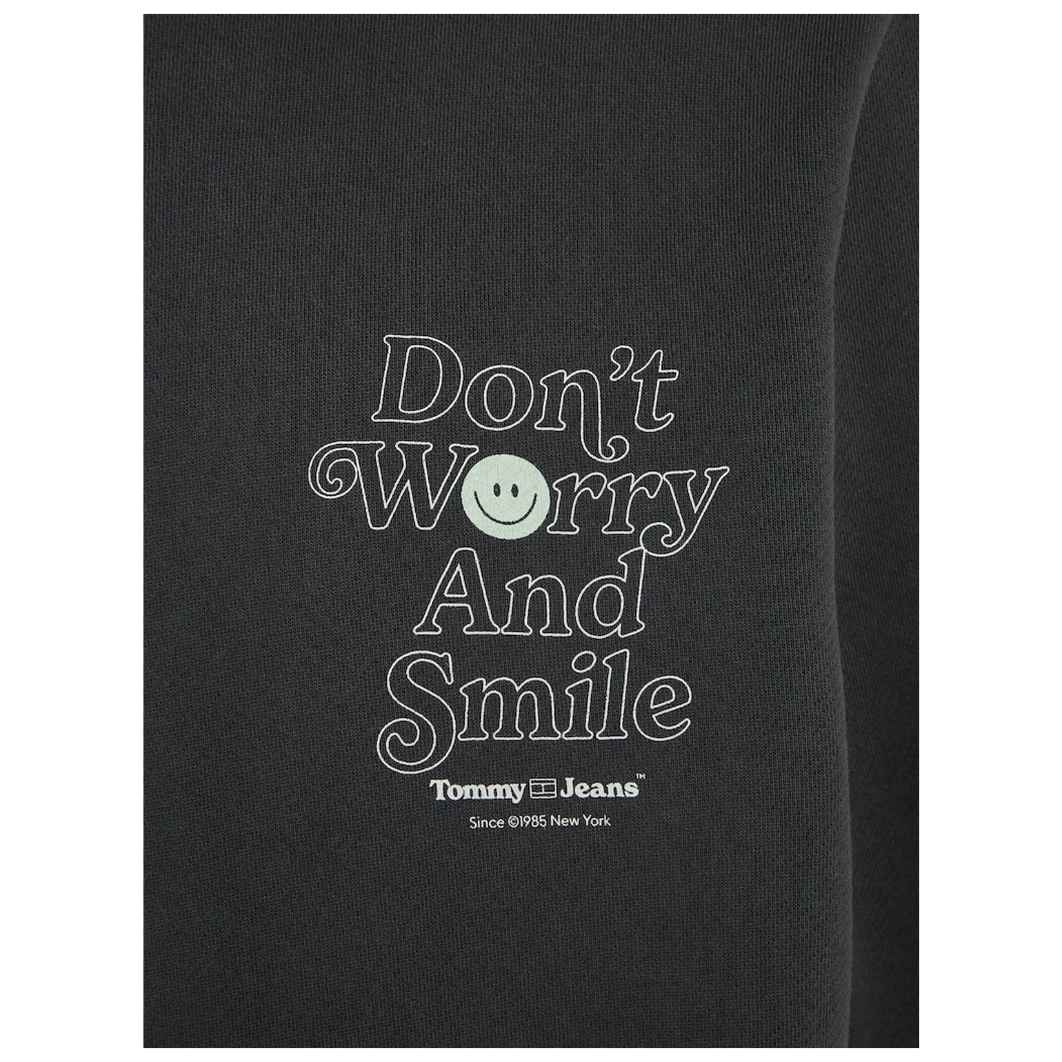 Tommy Jeans TJM REG NOVELTY GRAPHIC HOODIE