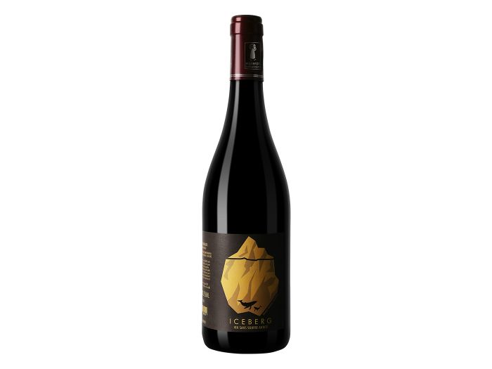 Saint-Nicolas de Bourgueil - AOP - 2021 Domaine Damien Bruneau - Iceberg Rouge