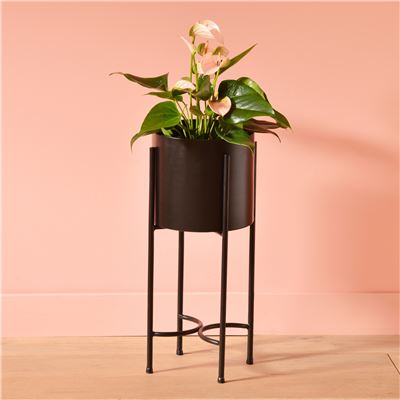 Cache-pot sur pied