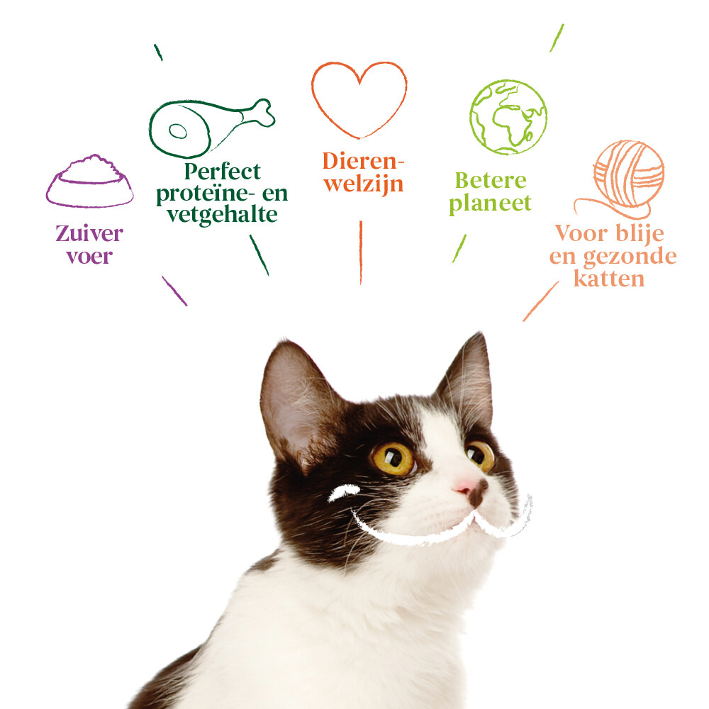 8x Yarrah Bio Kattenvoer Multipack Paté Graanvrij Zalm & Zeewier8 x 100 gr