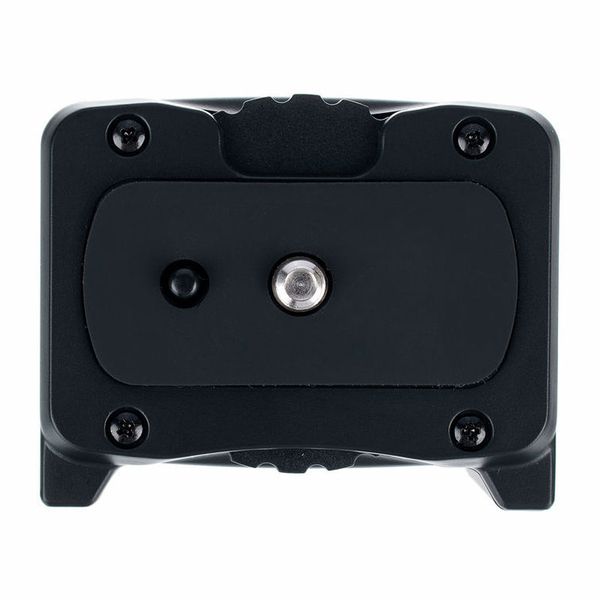 Zoom BCQ-2n