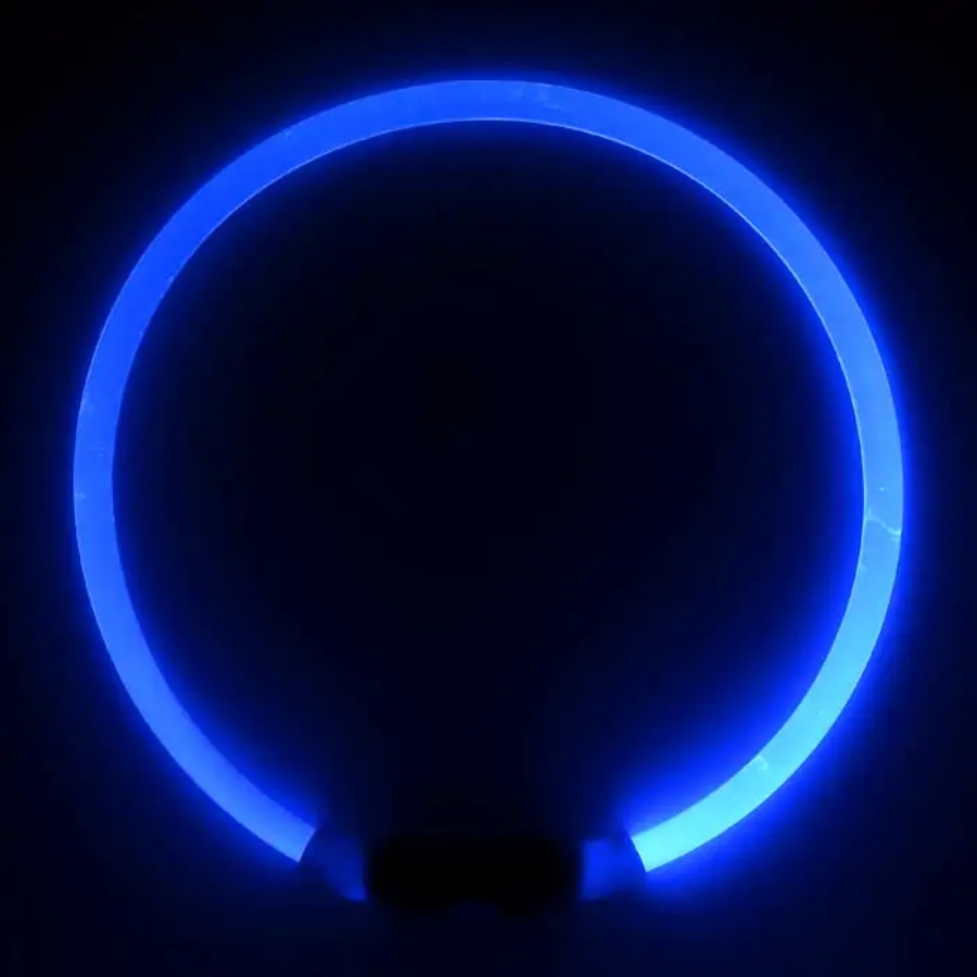 Coleira com luz LED azul Nite Ize NiteHowl para cães