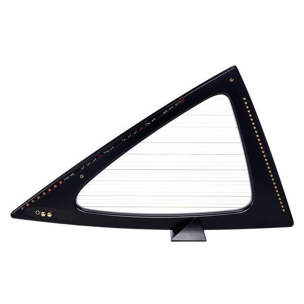 Salvi Delta Electric Harp