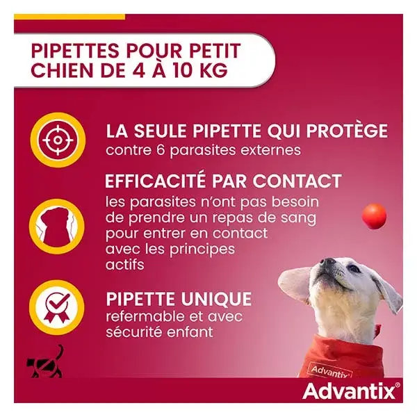 Advantix Chien Solution Antiparasitaire Petite Race 4 à 10kg 6 pipettes