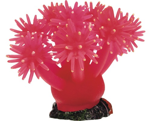 Decoratie Lachend Koraal 9 cm roze