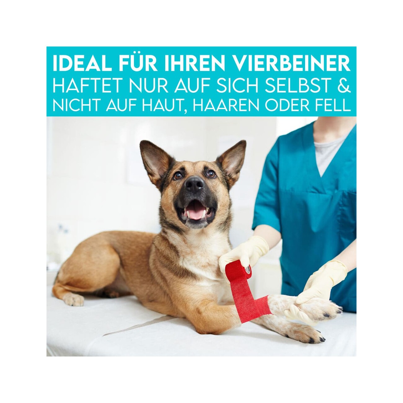 HUND IST KÖNIG Verband selbstklebend, Selbstklebende Bandage für Mensch & Tier (12 Stk) rot 5 cm, 47 m