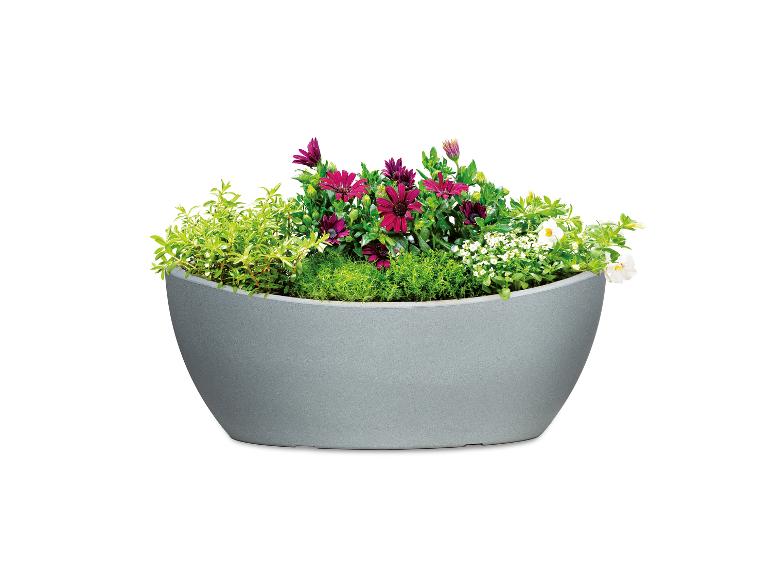 Bloempot