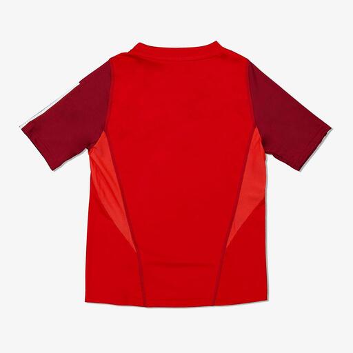 Camisa de treino do Benfica Lisboa 23/24