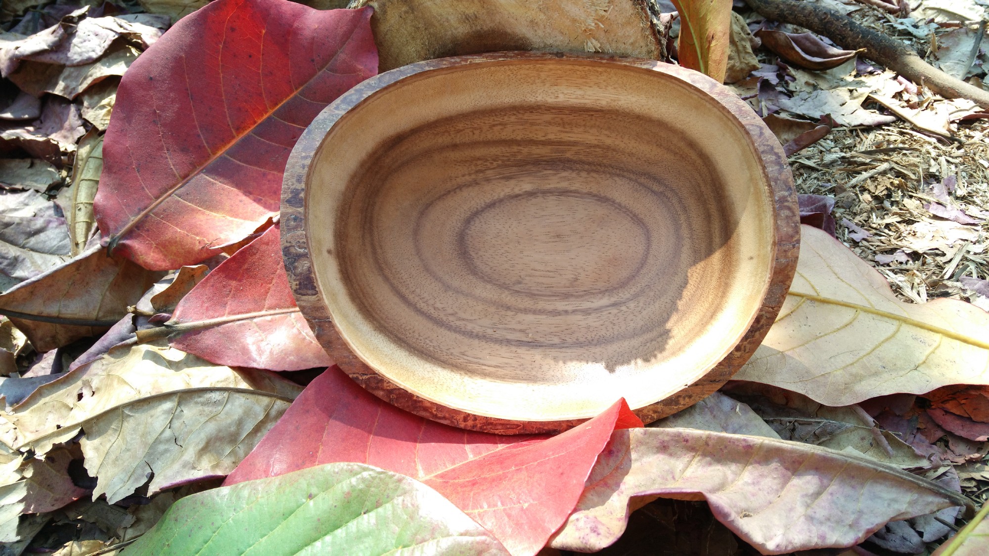 Baumrinden-Schale oval, Akazienholz, B 25 cm, L 22 cm, H 8,5 cm von fischer's lagerhaus