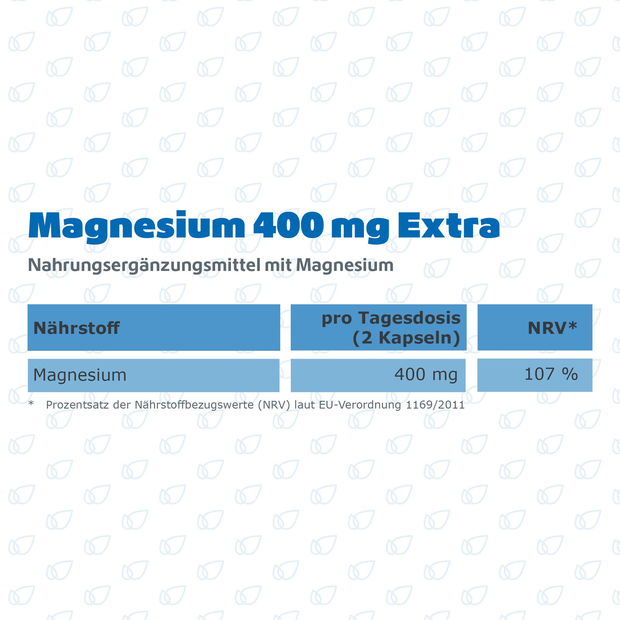 R(h)ein Nutrition Magnesium 400 mg Extra