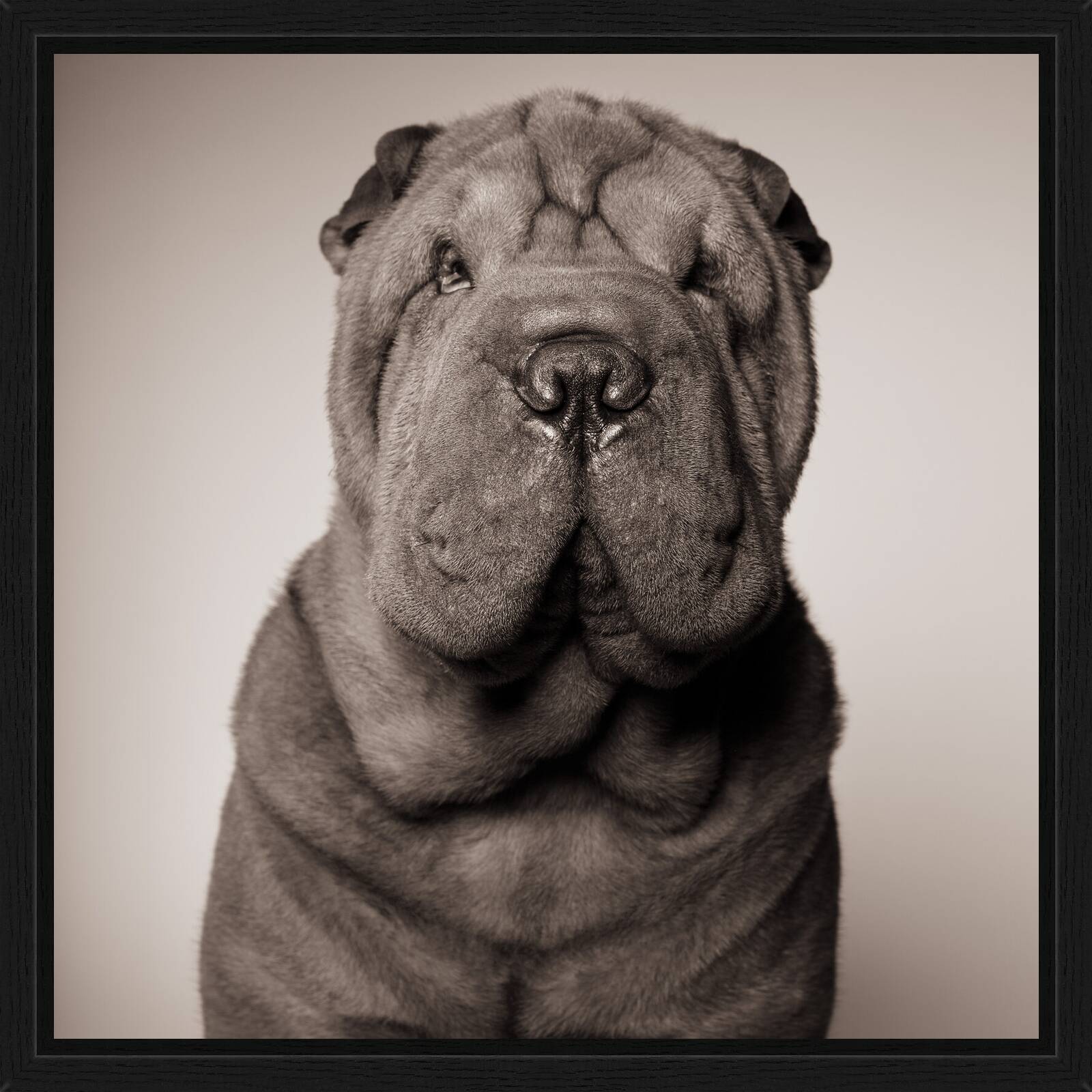 RJ by Catherine Ledner - Limited Edition. Edition of: 150. Signed.