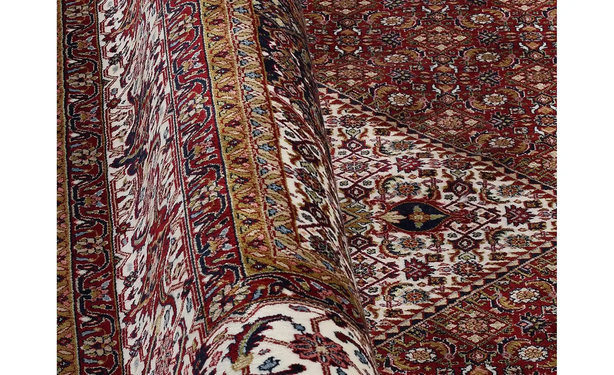 Teppich Aleyna Bidjar