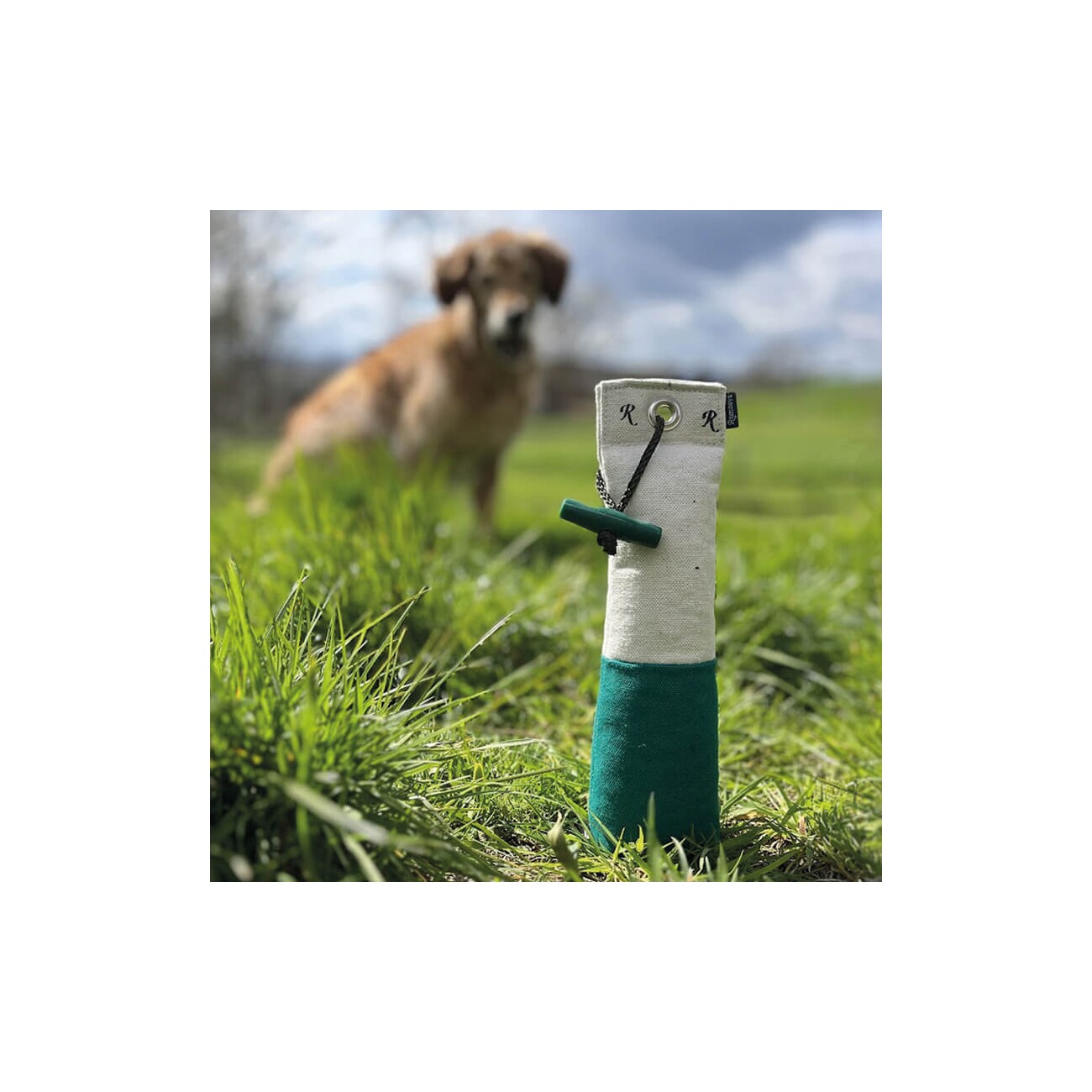 ROMNEYS Dummy Stand-Up 500g