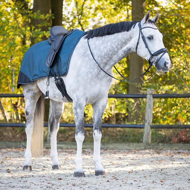 Uitrijdeken QHP Turnout Collection Fleece Blauw