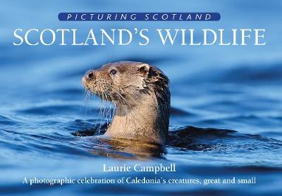 Scotland's Wildlife: Picturing Scotland: A photographic celebration of Caledonia's creatures, great and small - Picturing Scotland (Hardback)