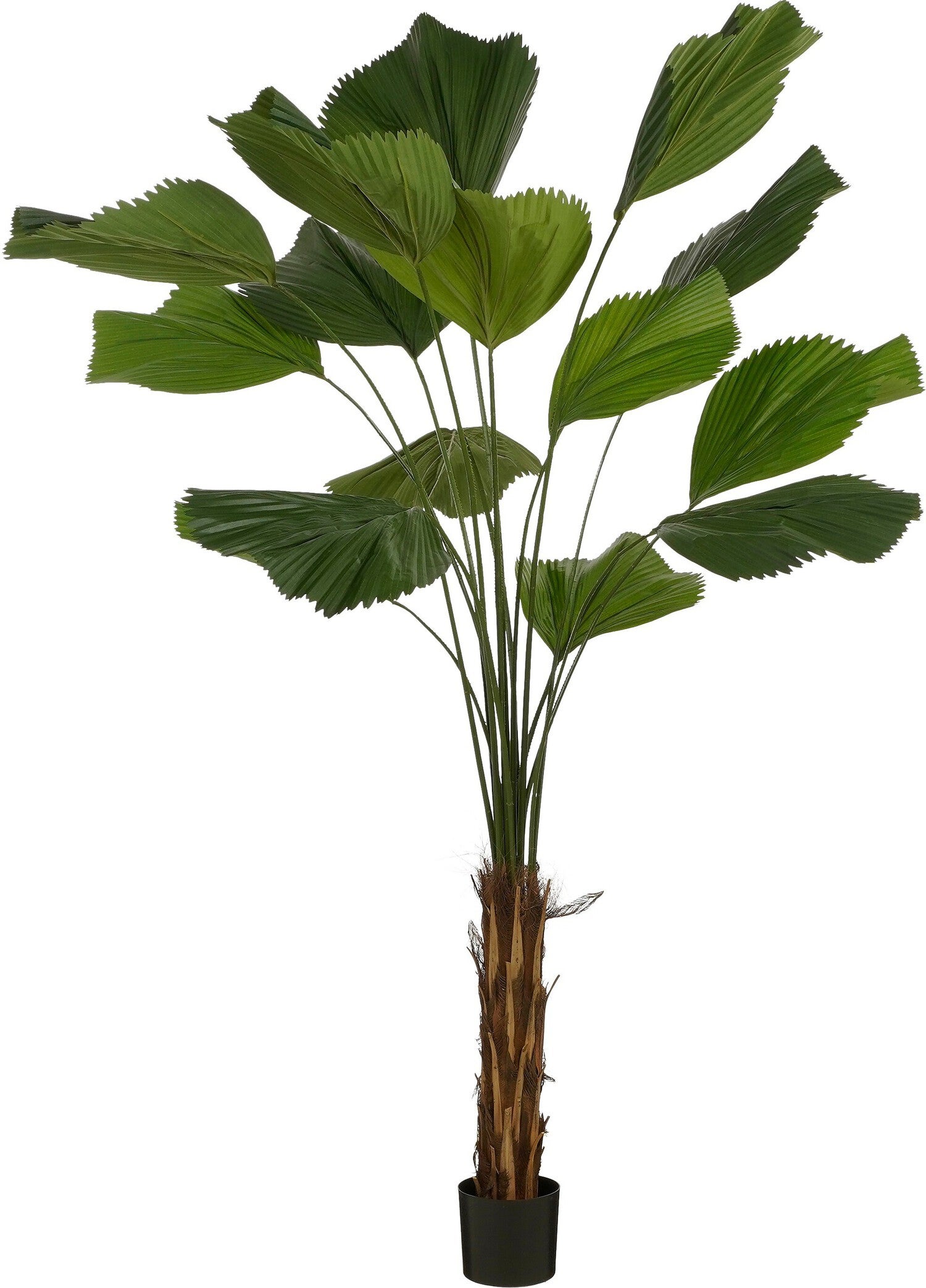 Mica Decorations kunstplant Palmboom groen H 210 D 95 cm