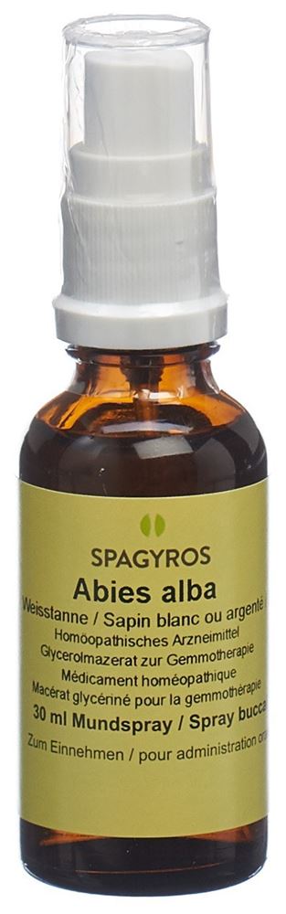 Spagyros Abies alba 1 D<br>30 ml, Spray, Glycerinmazerat
