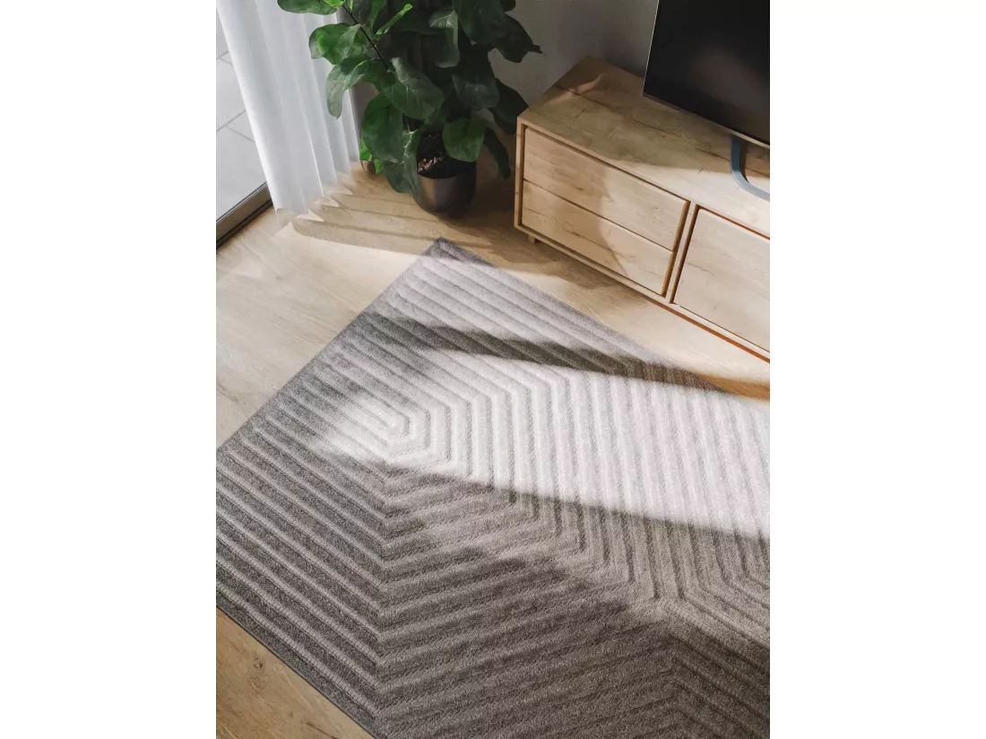Tapis Leo Gris clair 140x200 cm