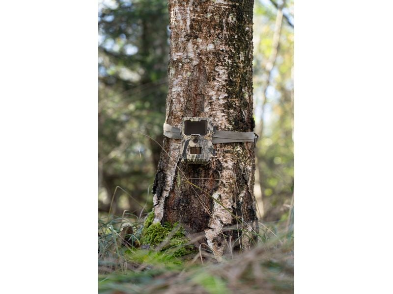 Dörr Kamera Wildkamera SnapShot Mini 5.0 Pro Überwachungskamera für hochauflösende Wildtierbeobachtung und Sicherheitsüberwachung