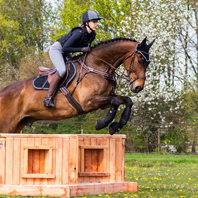 Beenbeschermers QHP Eventing Voor Zwart