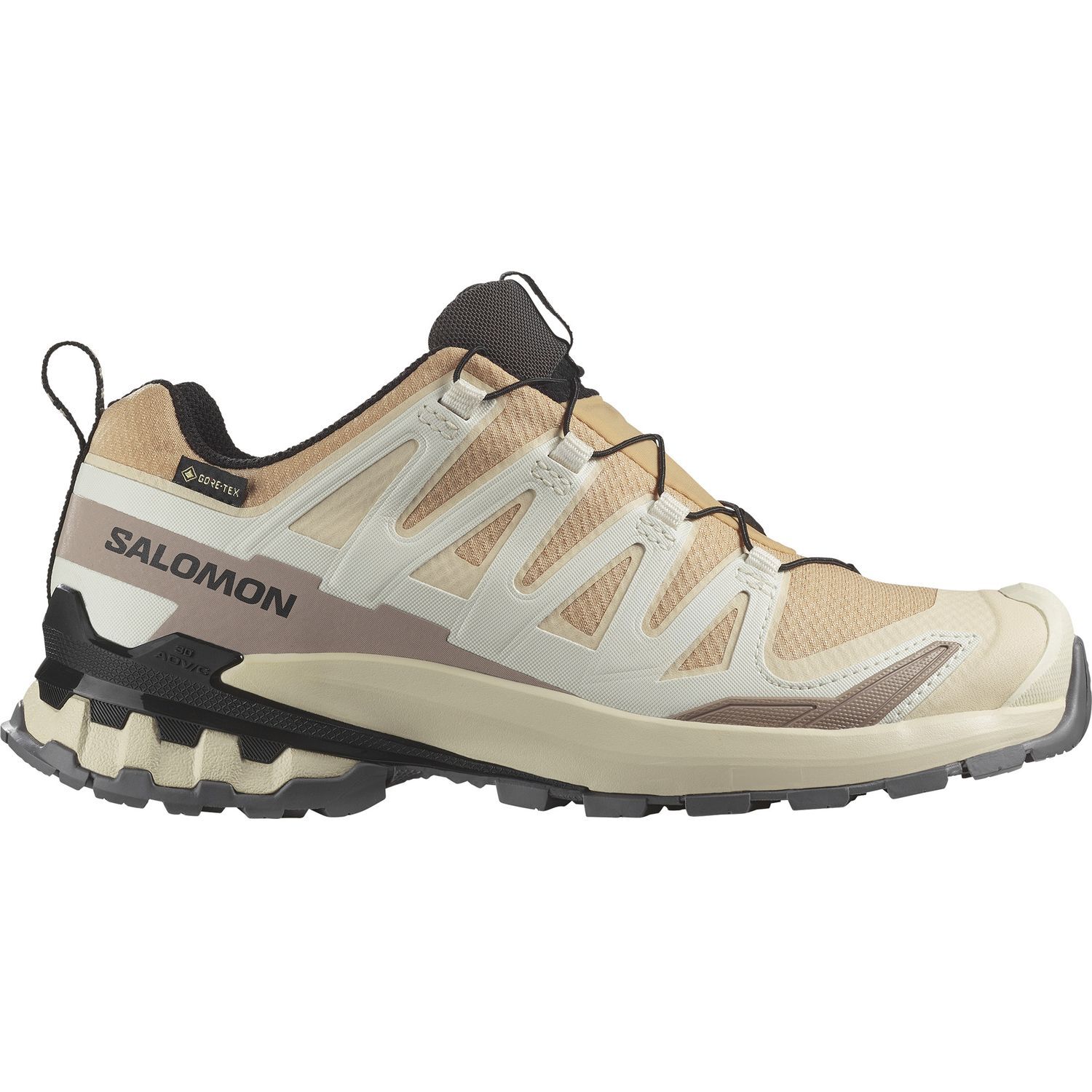 SalomonXA PRO 3D V9 GTX W