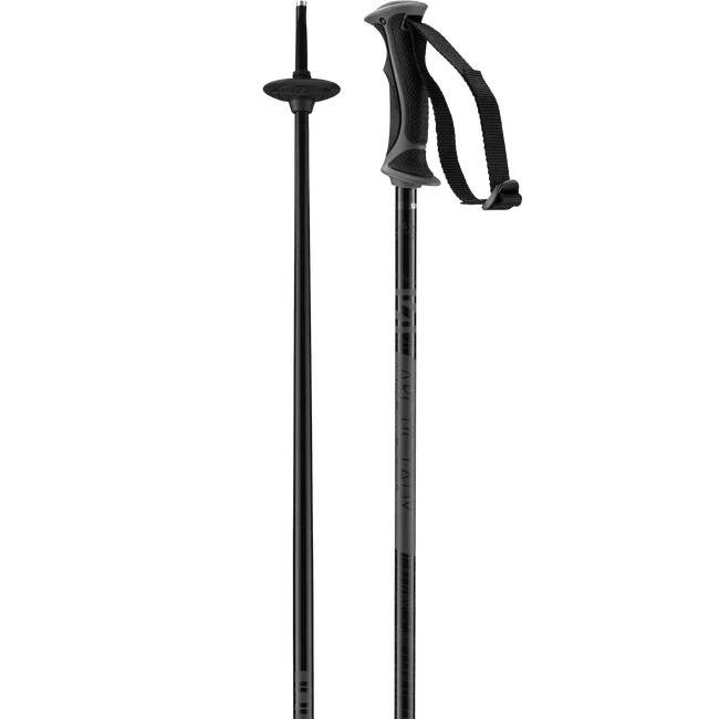 ARCTIC LADY  Bâtons de ski alpin pour femme