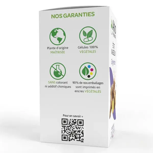 Arkopharma Arkogélules Gingembre Bio 40 gélules