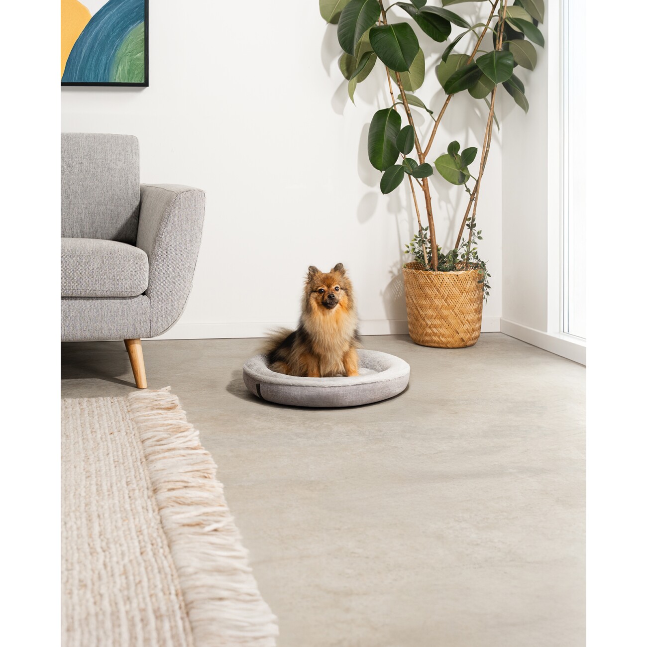 Lionto Rundes Hundebett grau S