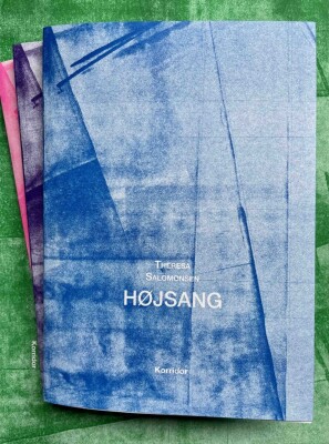 Højsang - Theresa Salomonsen - Bog
