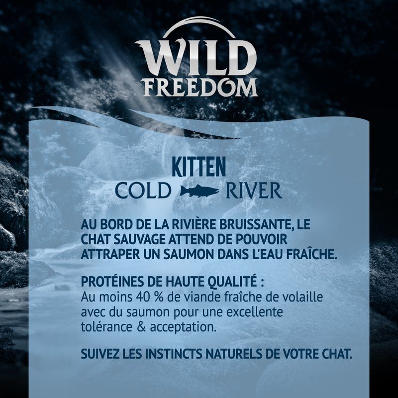 Wild Freedom Kitten Cold River, saumon