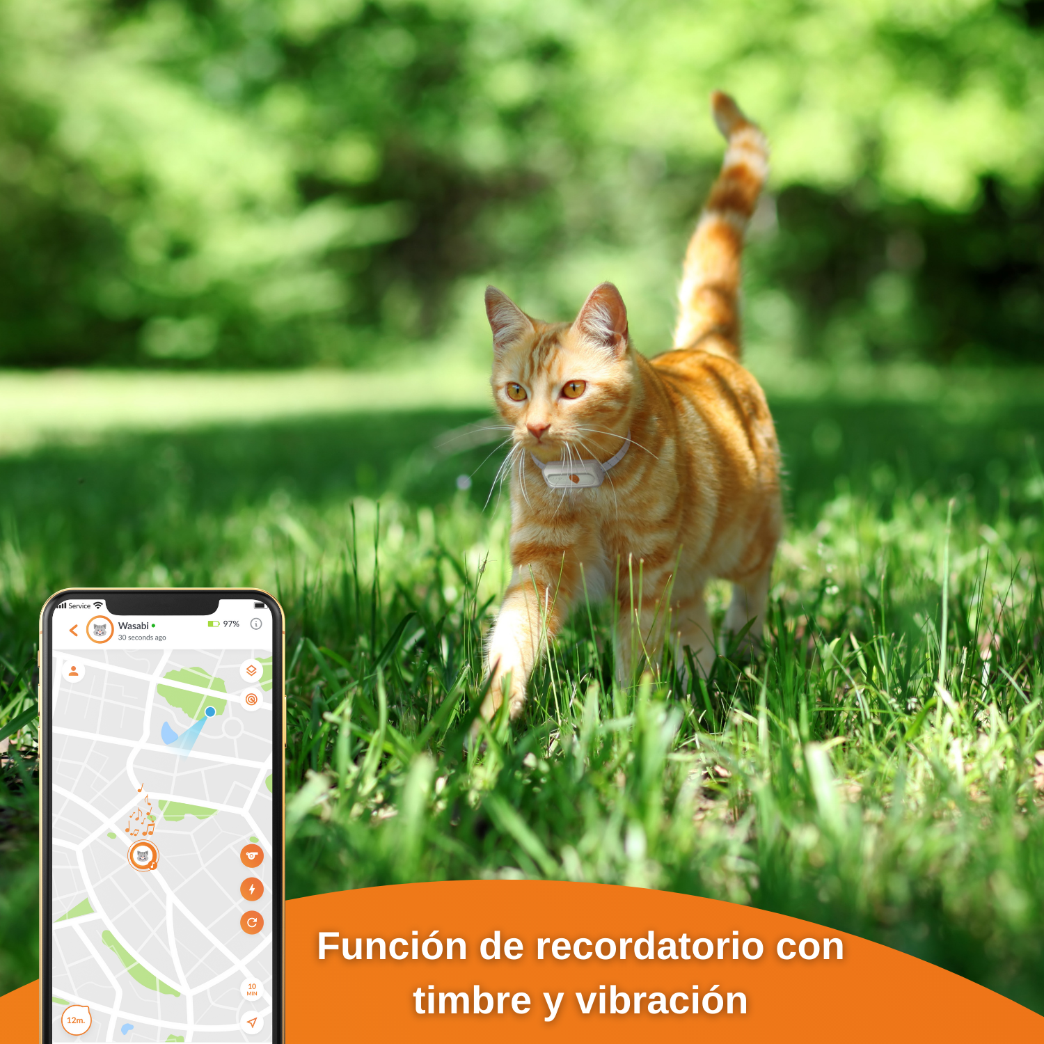 Weenect XS - GPS para Gatos (Branco)