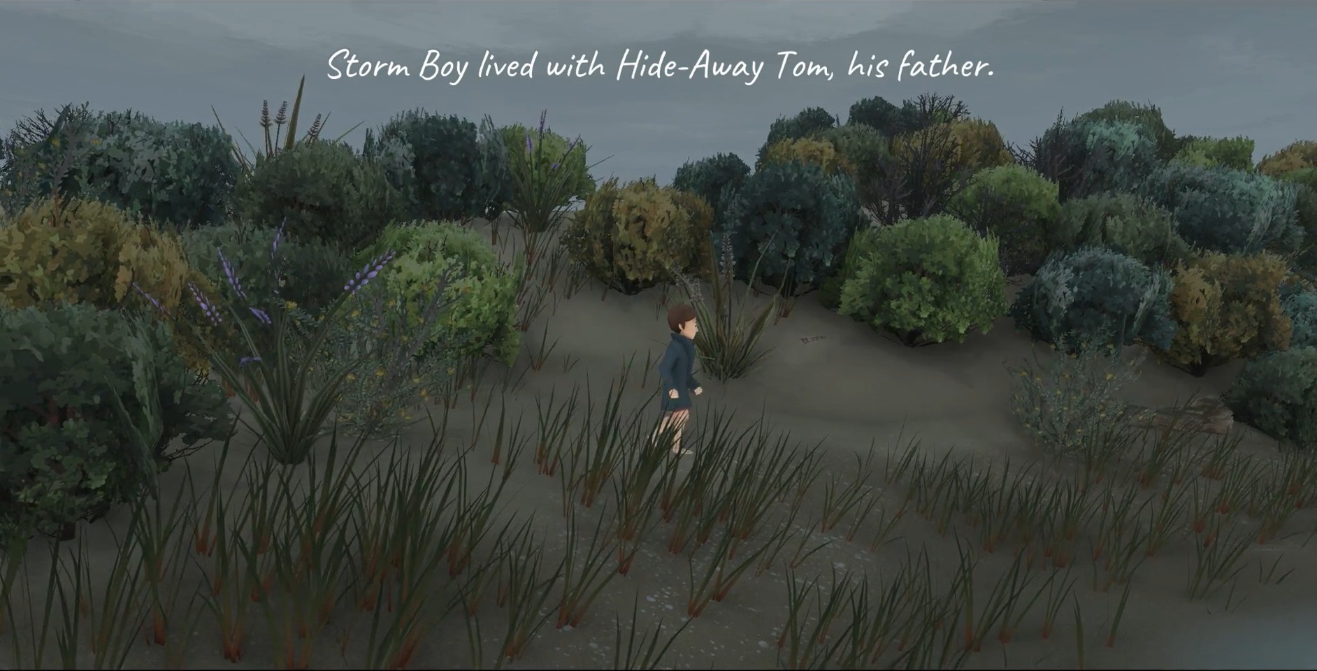 Storm Boy- PC