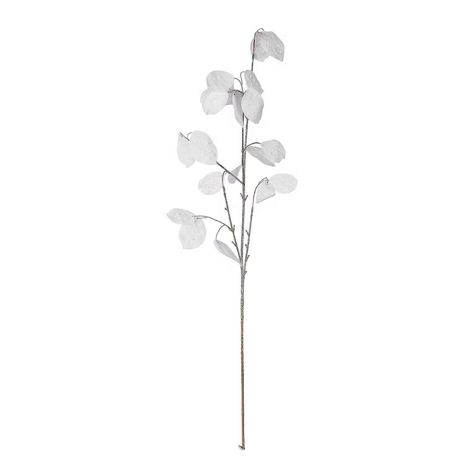 FLORISTA Silberblatt Glitzer