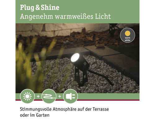 Paulmann Plug & Shine LED-spot met grondpen, enkele spot, IP44, 3W, 150 lm, 3000 K, zwart, 24 V