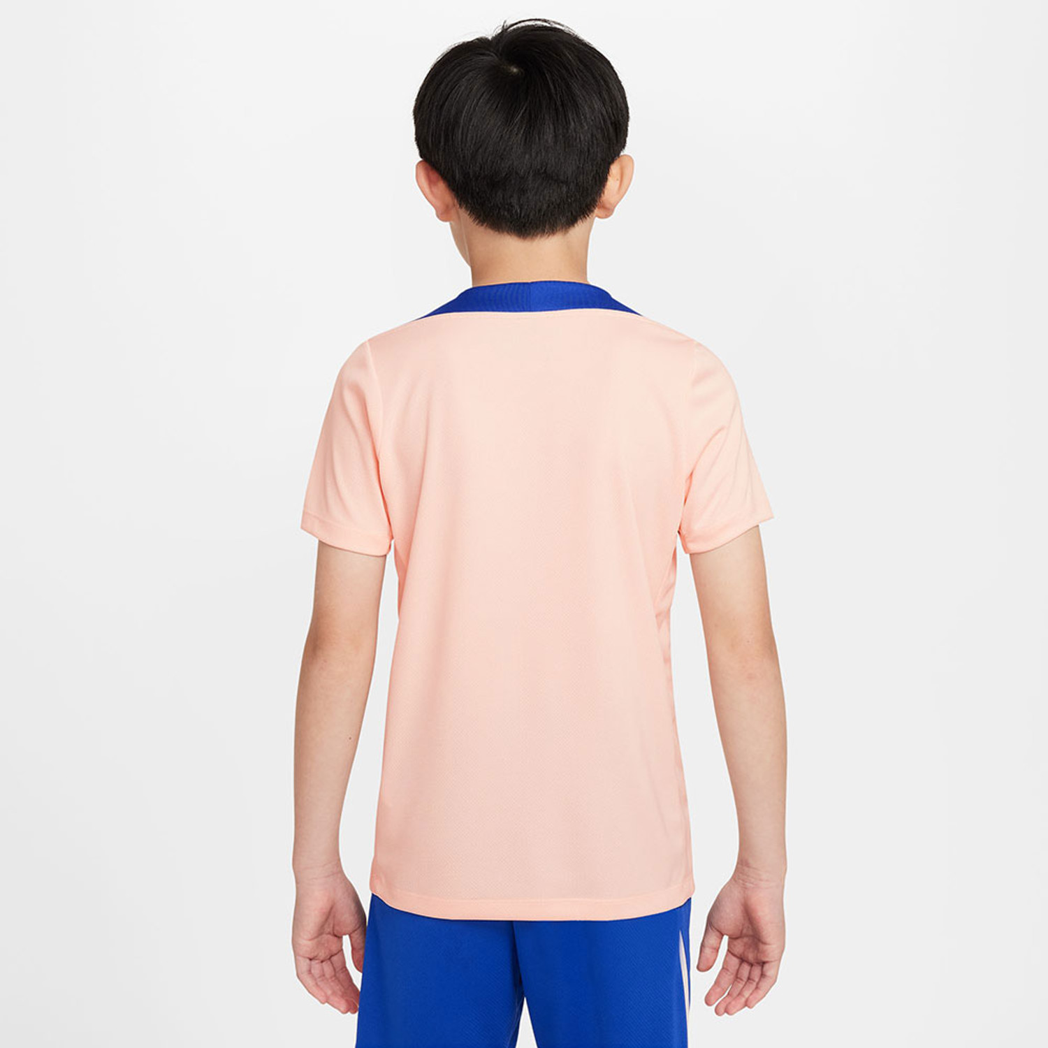 Nike Frankrijk Strike Top Kids