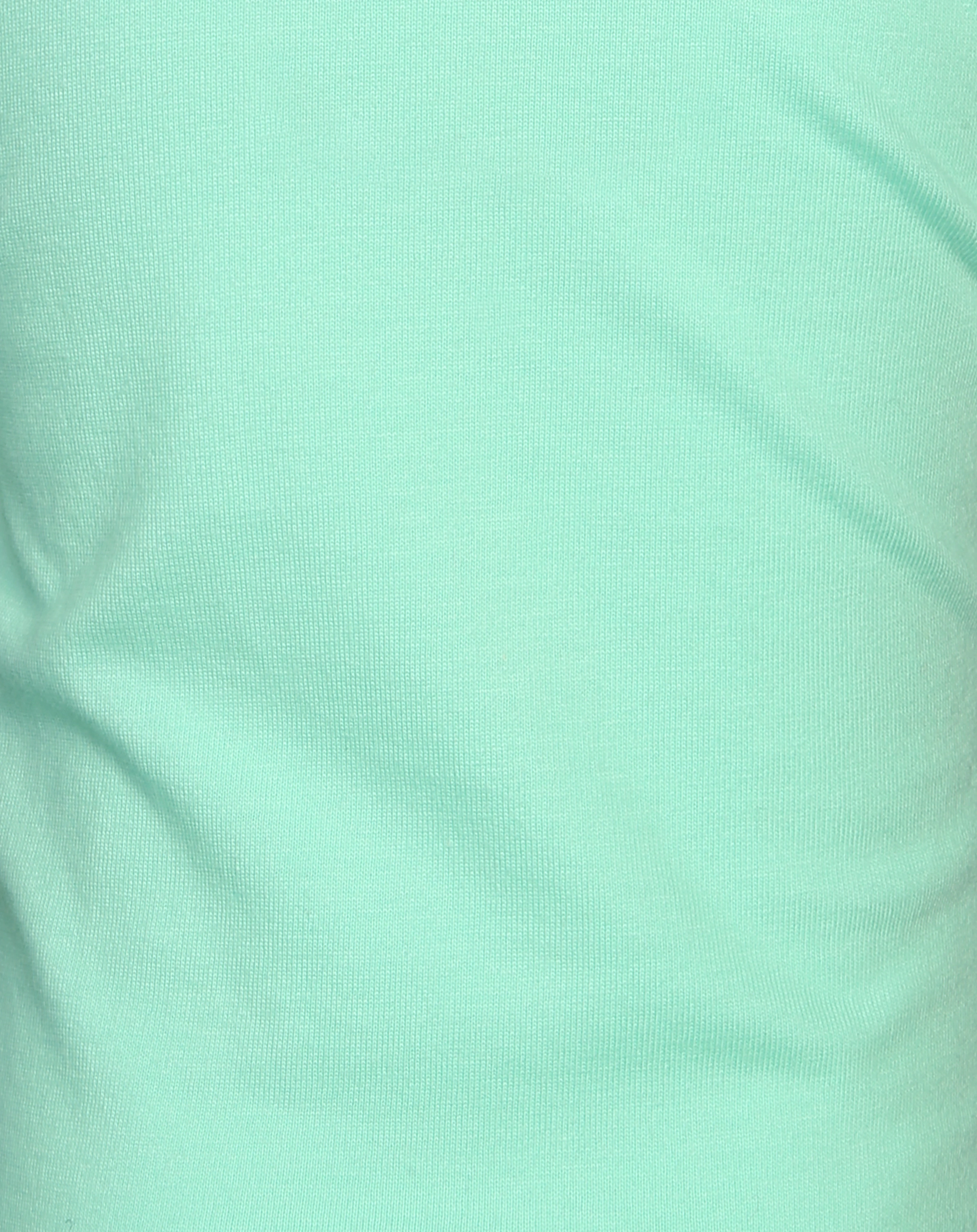 T-Shirt ZEBRA in türkis